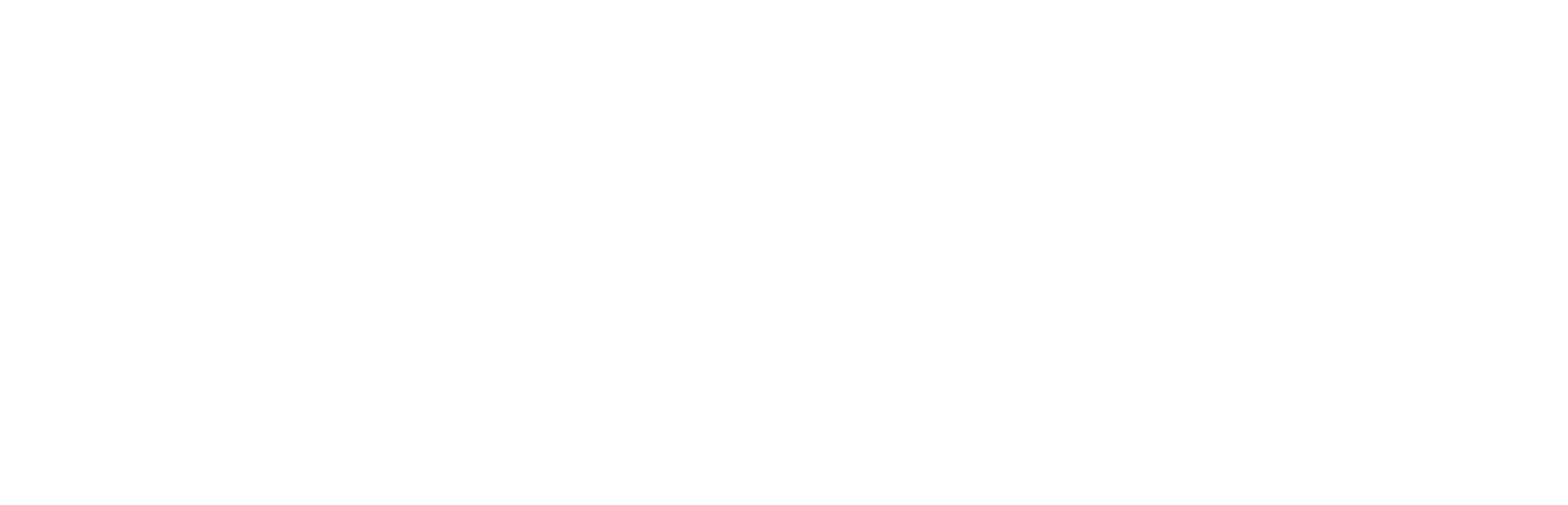 MER PORTAL logo